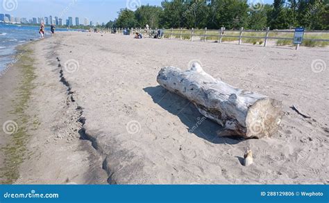 porn on nude beach